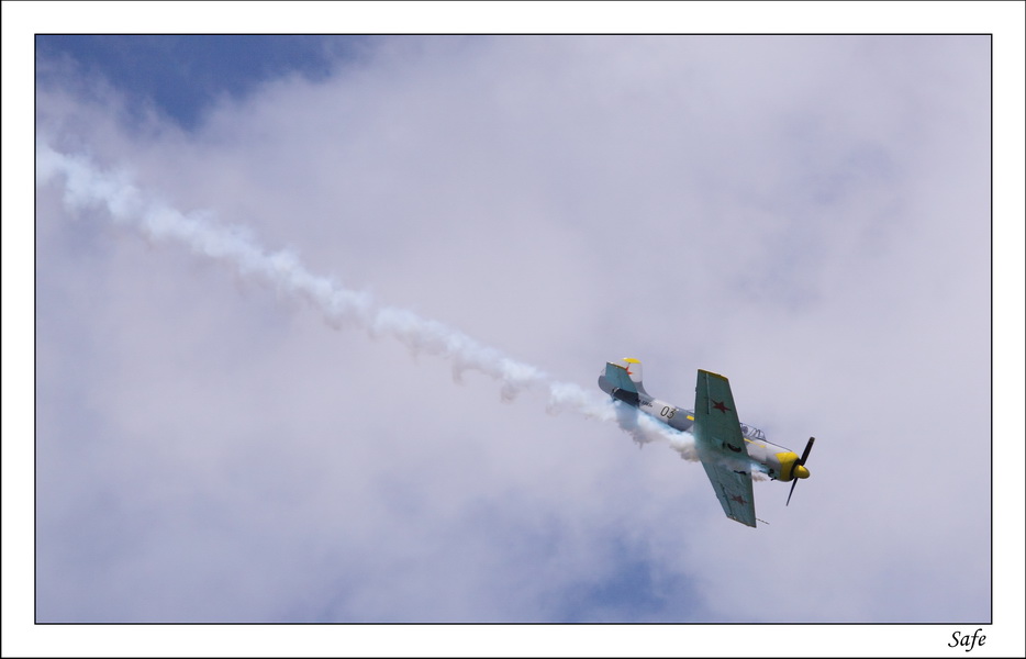 2009   05   Ferte Alais   028